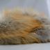 Hat, Coonskin