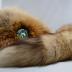 Hat, Coonskin