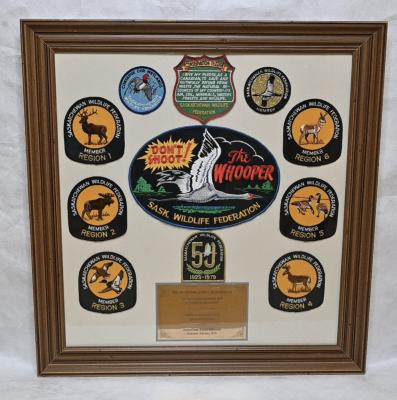 Plaque with Patches
