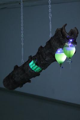 (the Kinetics of) Restoration 