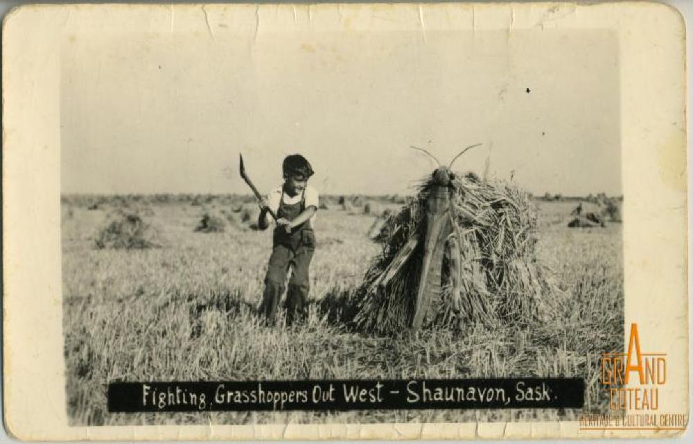 Photographic Postcard