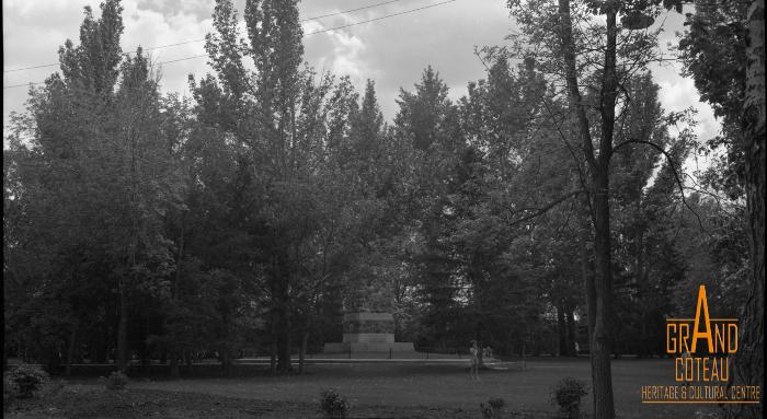 Photographic Negative