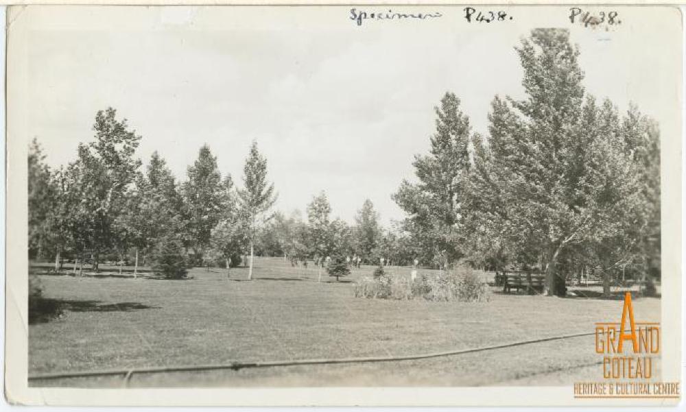Photographic Print