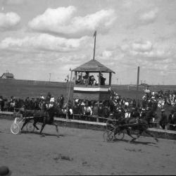 Photographic Negative