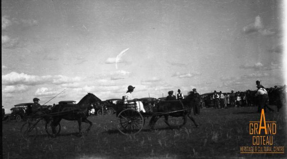 Photographic Negative