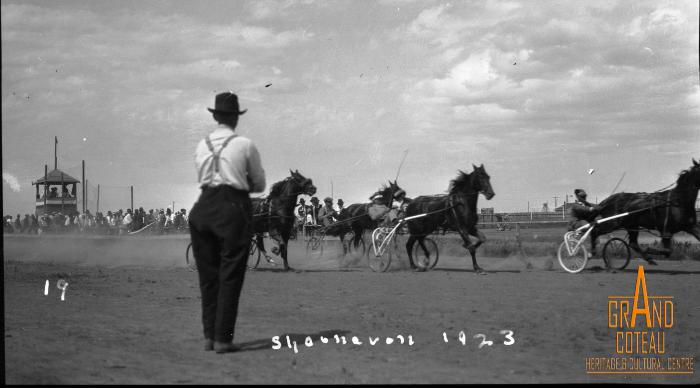 Photographic Negative