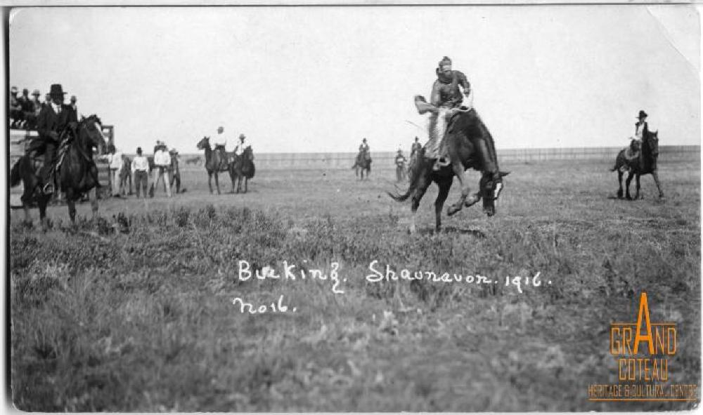 Photographic postcard