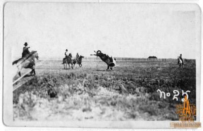 Photographic postcard