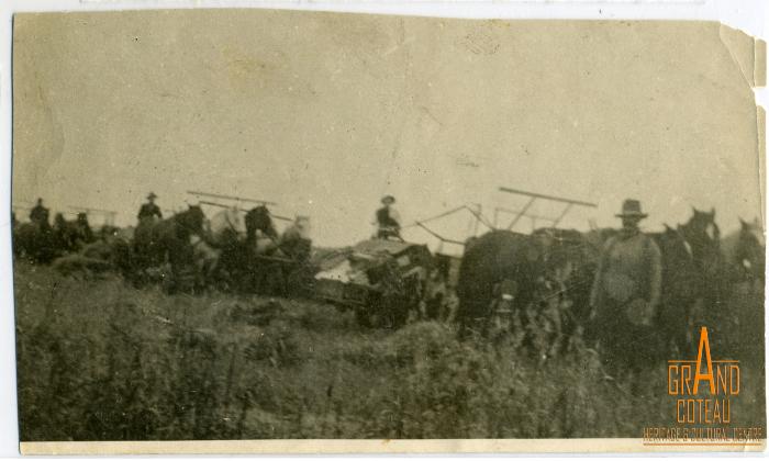 Photographic Print