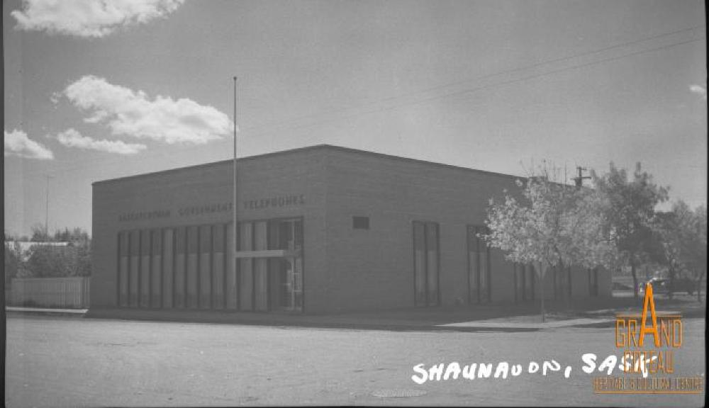 Photographic Negative