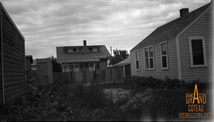 Photographic Negative