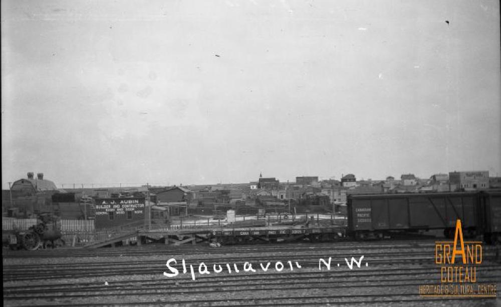 Photographic Negative