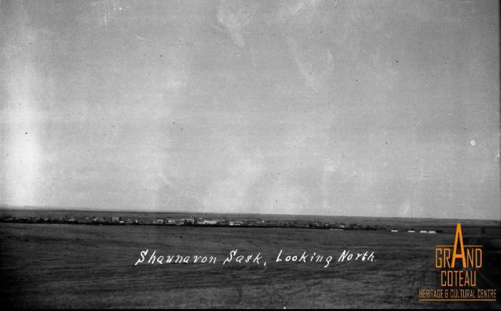 Photographic Negative