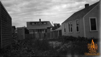 Photographic Negative