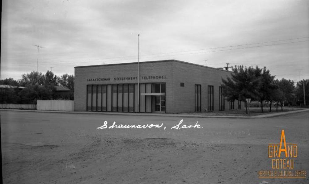 Photographic Negative