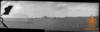 Photographic Negative