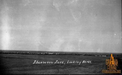Photographic Negative