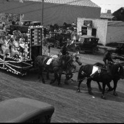 Photographic negative