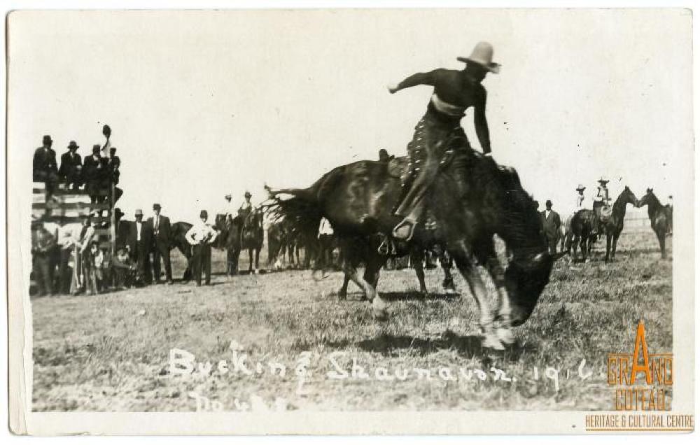 Photographic Postcard