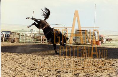 Photographic Print