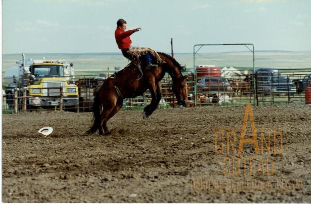 Photographic Print