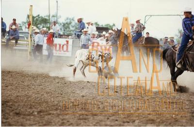 Photographic Print