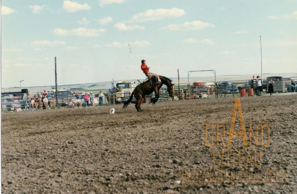 Photographic Print