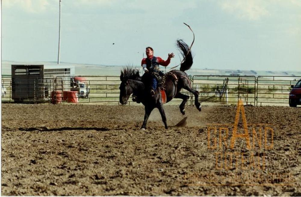 Photographic Print
