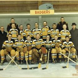 Shaunavon Badgers Hockey Team for 1966-67