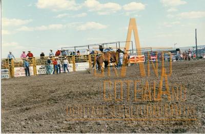 Photographic Print