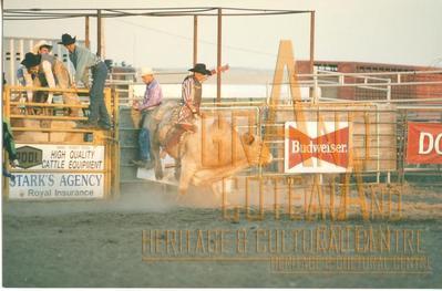 Photographic Print
