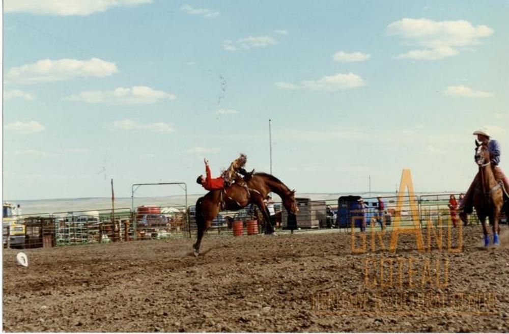 Photographic Print