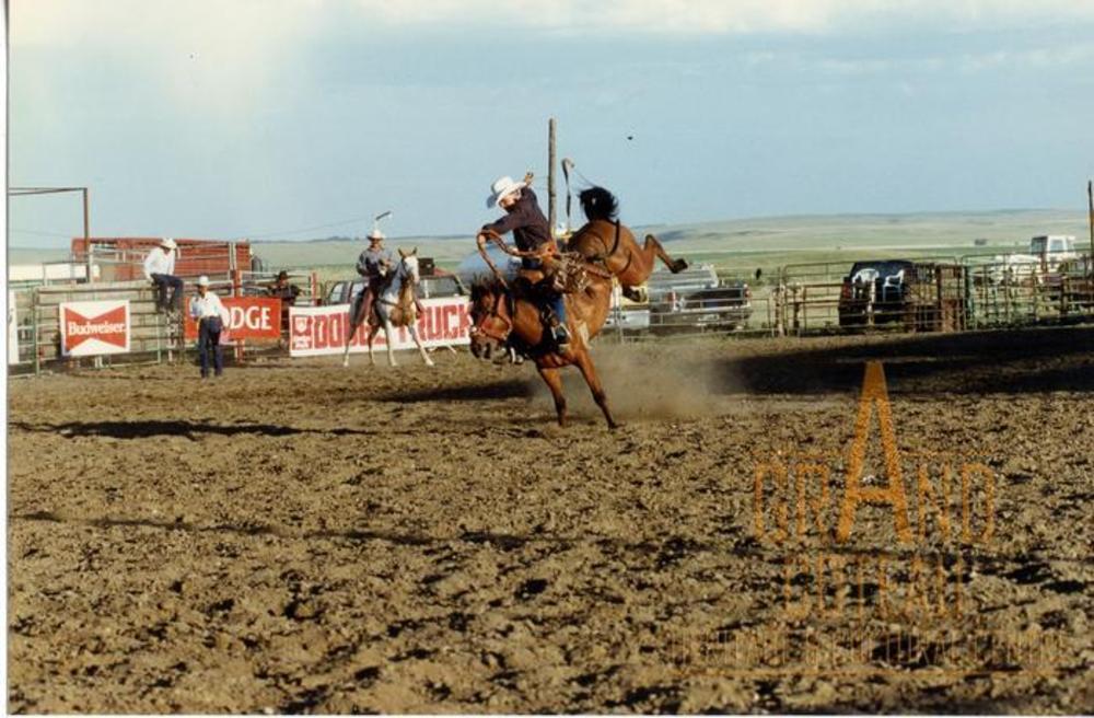 Photographic Print