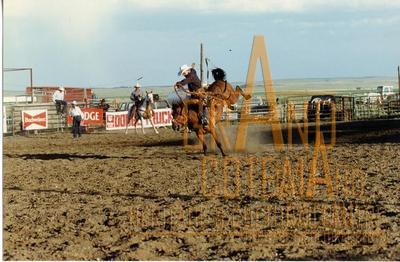 Photographic Print