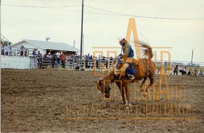 Photographic Print