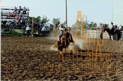 Photographic Print