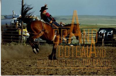 Photographic Print
