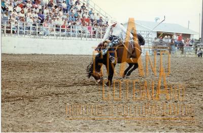Photographic Print