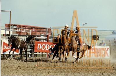Photographic Print