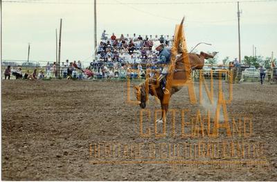 Photographic Print