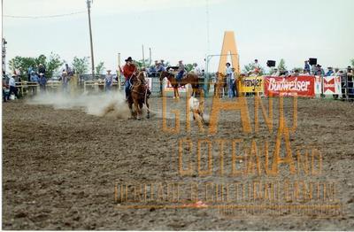 Photographic Print