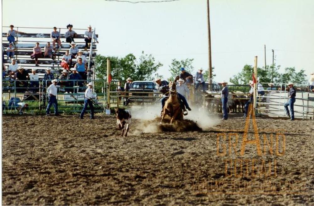 Photographic Print