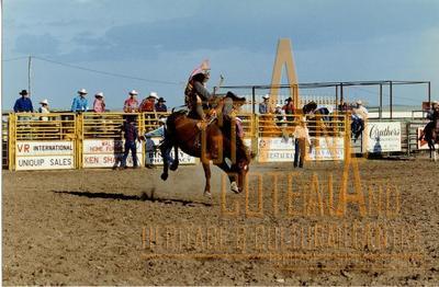Photographic Print