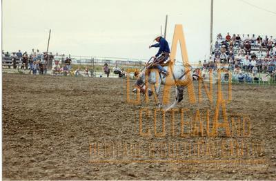 Photographic Print