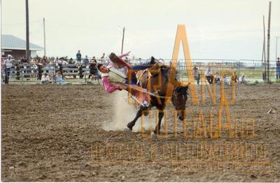 Photographic Print