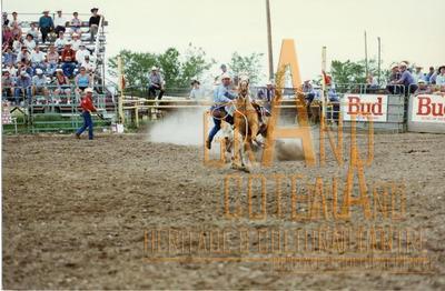 Photographic Print