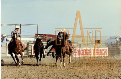 Photographic Print