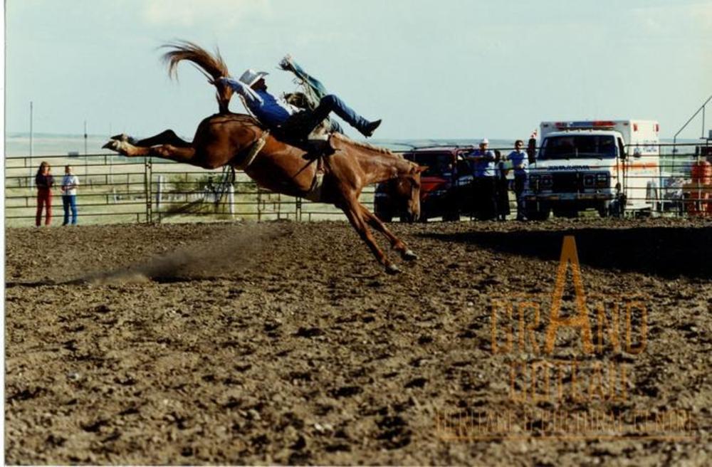 Photographic Print