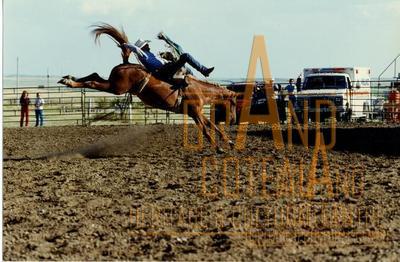 Photographic Print