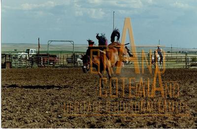 Photographic Print